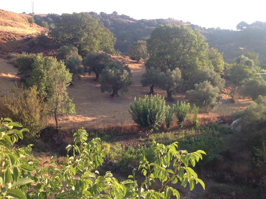 Marika'S House Βίλα Αλώνες Εξωτερικό φωτογραφία