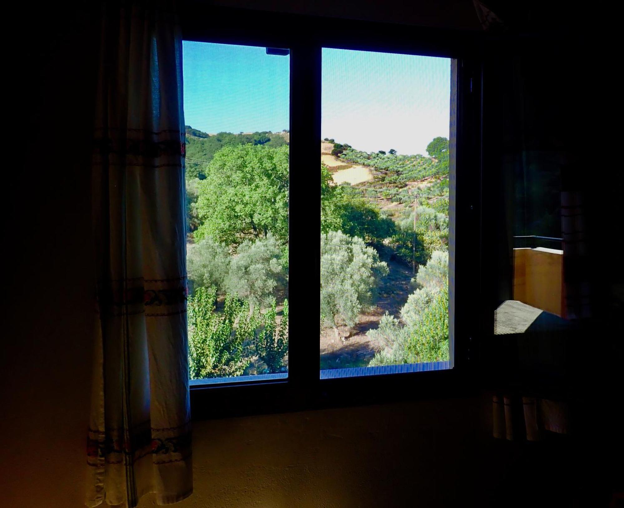 Marika'S House Βίλα Αλώνες Εξωτερικό φωτογραφία